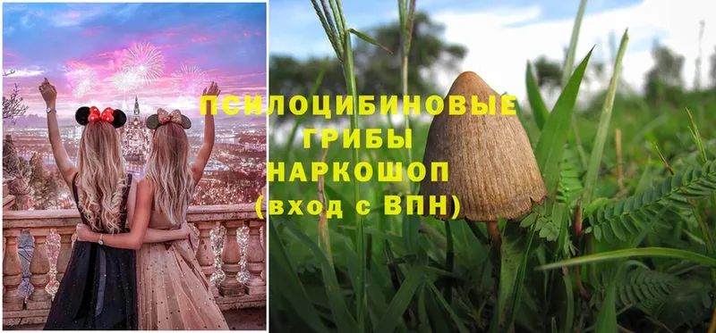 Галлюциногенные грибы Magic Shrooms  купить наркоту  МЕГА   Кузнецк 